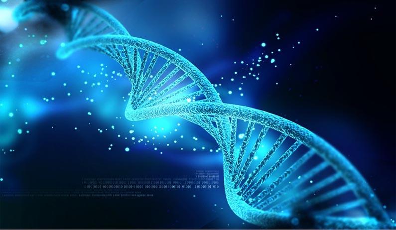 Forest Genetics and Biotechnology Division, KFRI