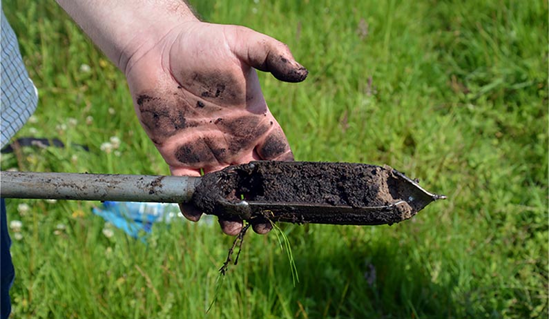 Soil Science Department, KFRI