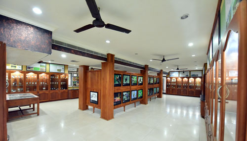Wild life Mueseum at KFRI Peechi