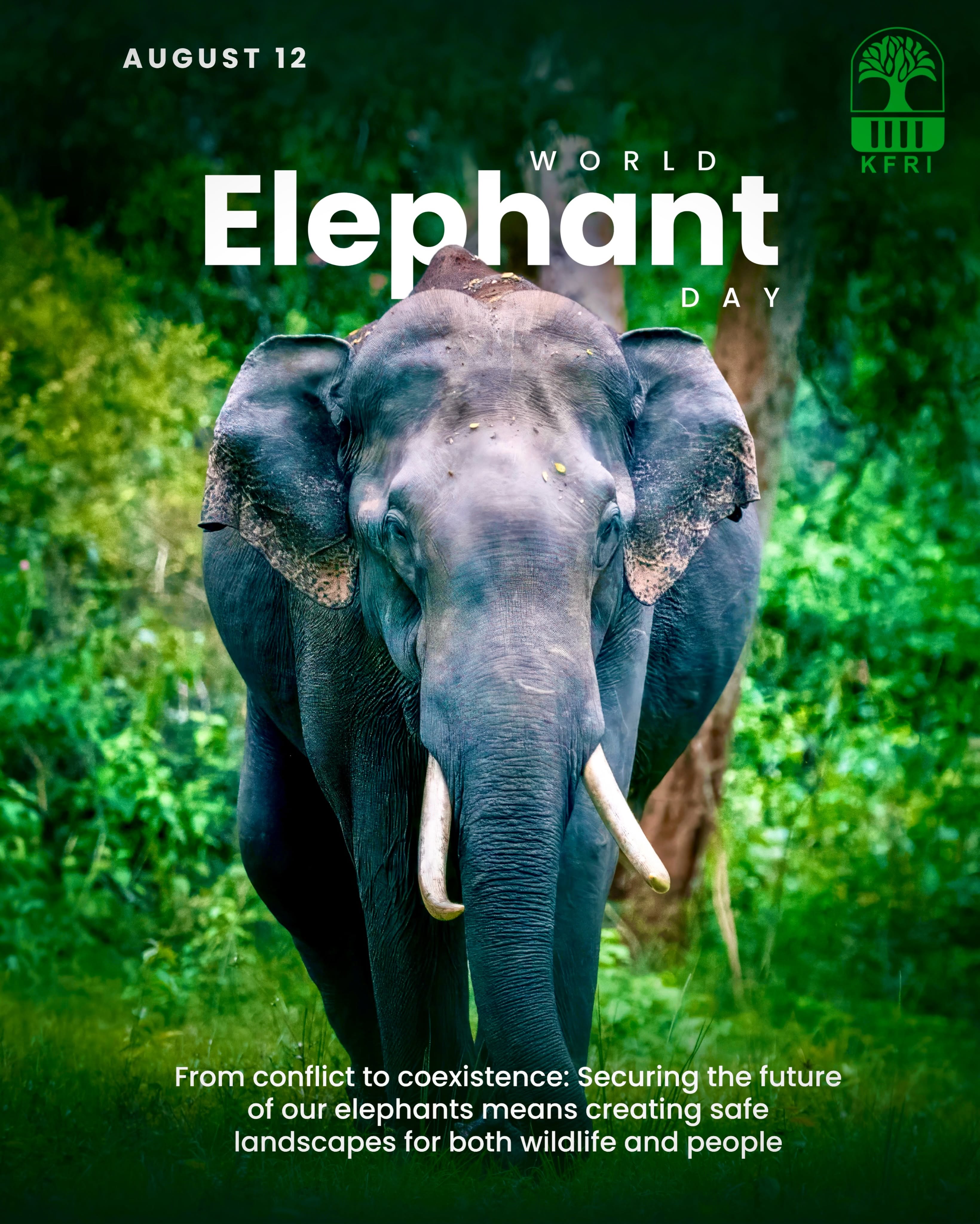 World Elephant Day