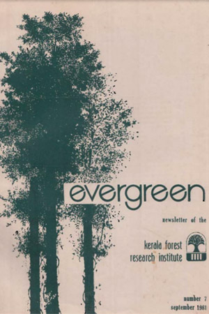 Evergreen (1981-11)