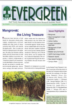 Evergreen (2004-2005)