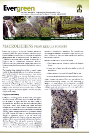 Evergreen (2008-2009)