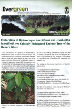 Evergreen (2010-2011)