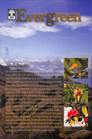 Evergreen (2013-49)