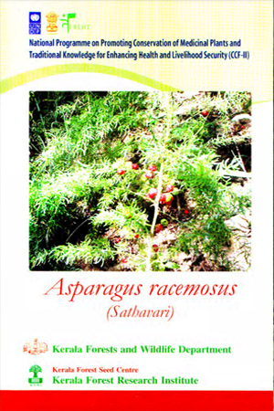 Asparagus racemosus (Sathavari).Medicinal plant