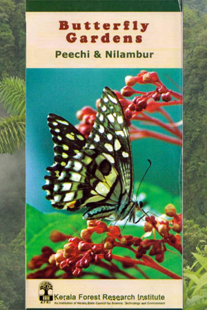 Butterfly Gardens Peechi & Nilampur