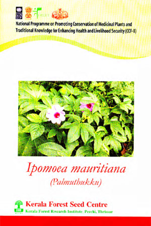 Ipomoea mauritiana (Palmuthukku).Medicinal plant