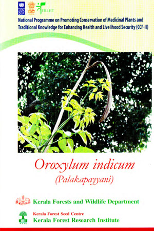 Oroxylum indicum (Palakapayyani).Medicinal plant