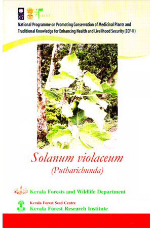 Solanum violaceum (Putharichunda).Medicinal plant
