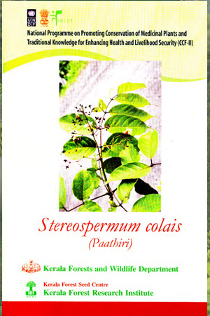 Stereospermum colais (Paathiri).Medicinal plant