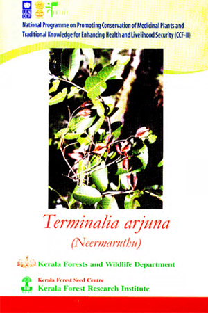 Terminalia arjuna (Neermaruthu).Medicinal plant