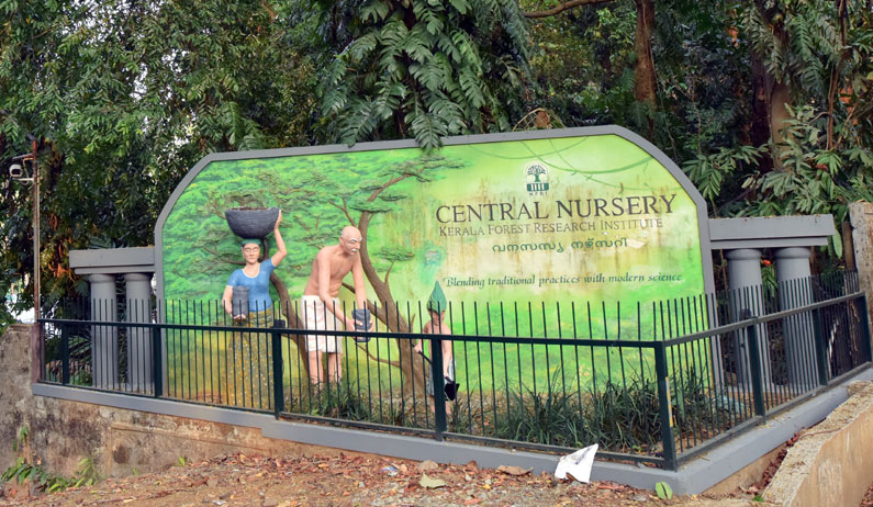 Forest Nursery KFRI