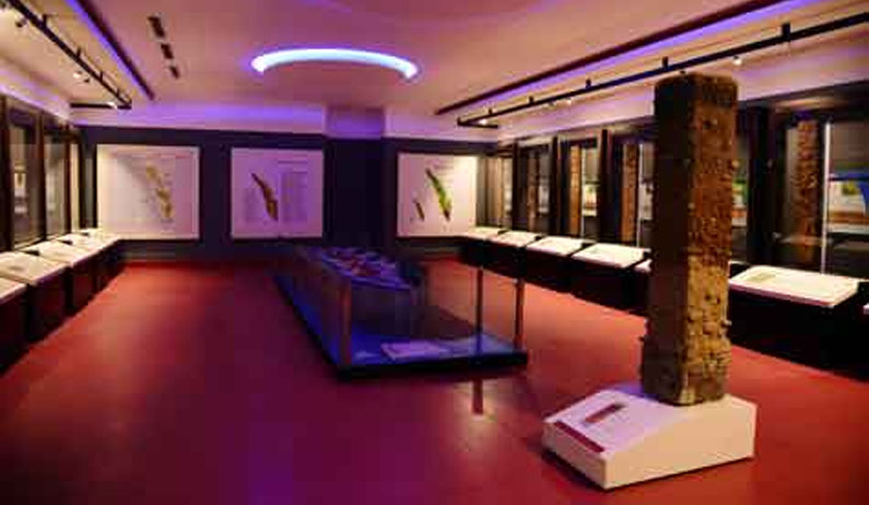 Soil museum