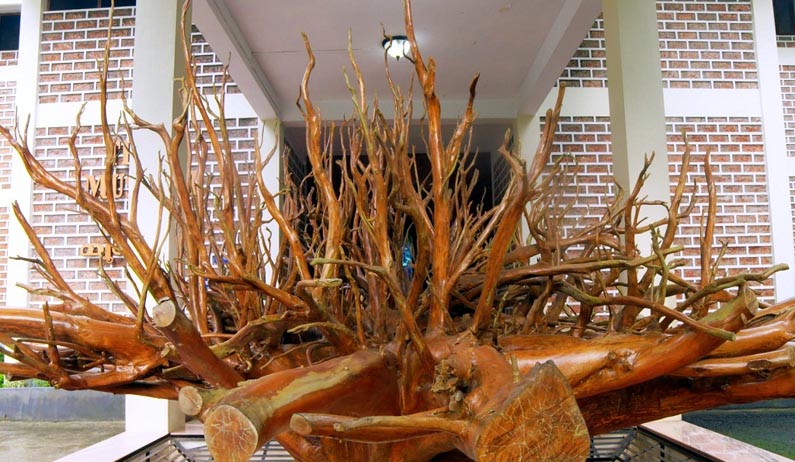 Teak Museum
