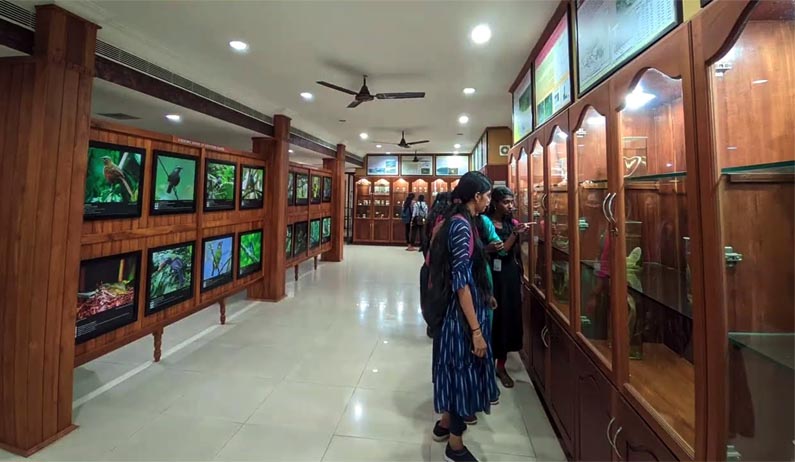 Wildlife Museum