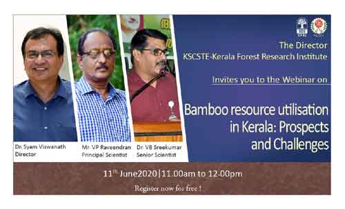 Bamboo Resource Utilisation in Kerala: Prospects and Challenges