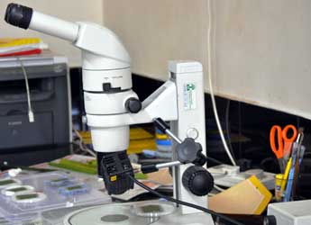 Entomology Lab