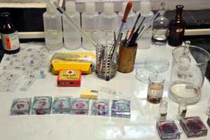 Wood Anatomy Lab